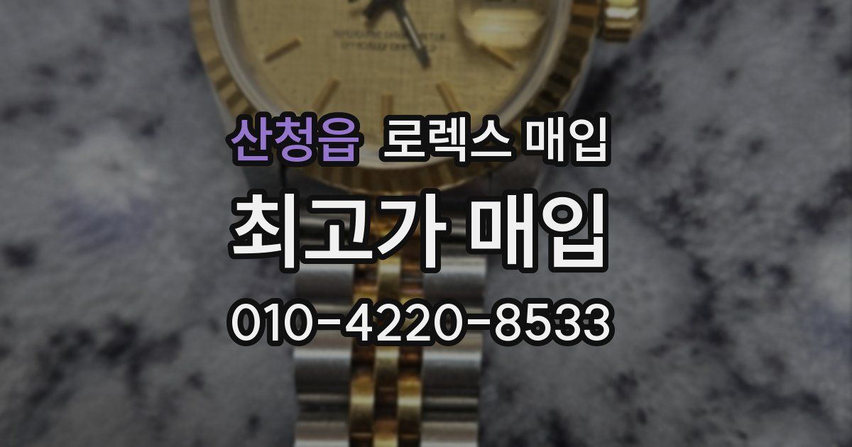 산청읍 로렉스 매입