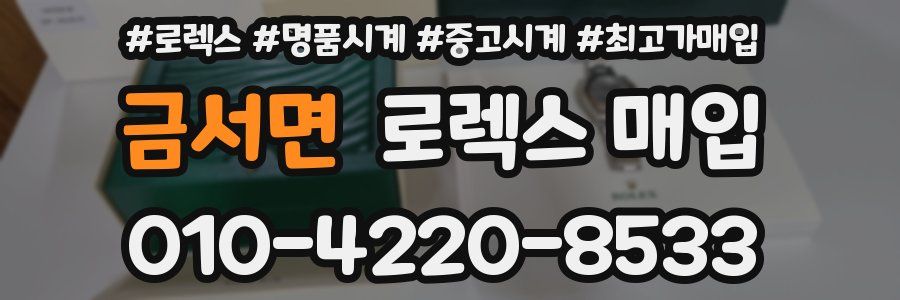 금서면 로렉스 매입