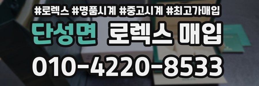 단성면 로렉스 매입
