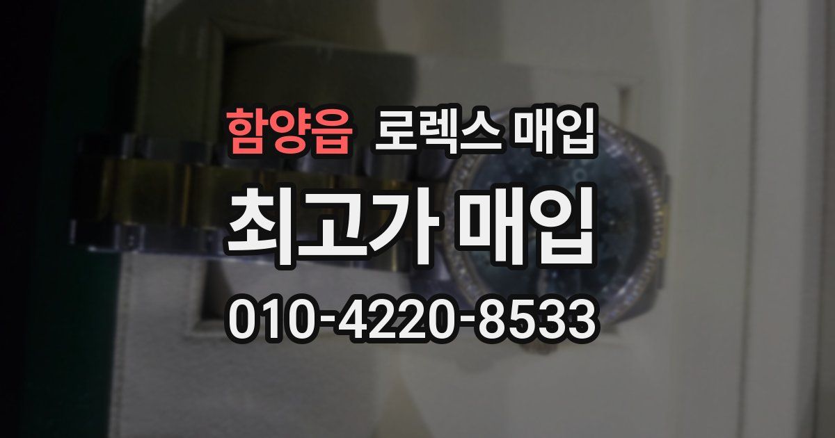 함양읍 로렉스 매입