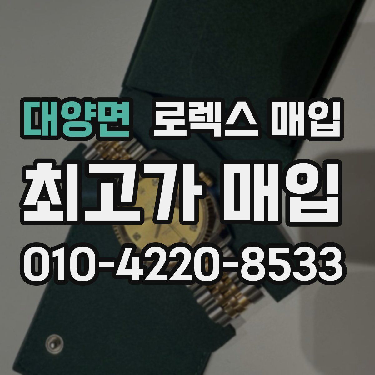 대양면 로렉스 매입