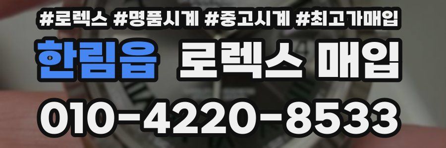 한림읍 로렉스 매입