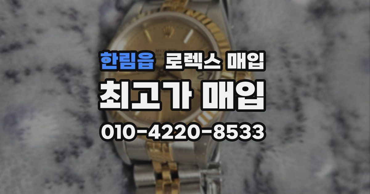 한림읍 로렉스 매입