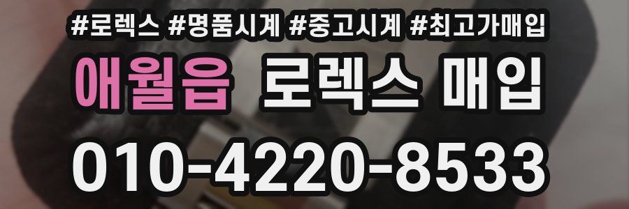 애월읍 로렉스 매입