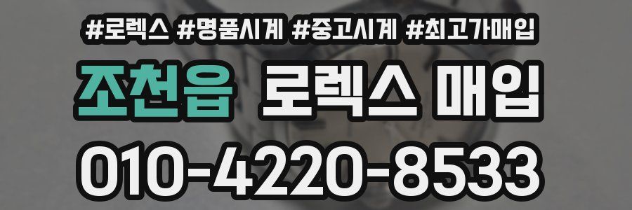 조천읍 로렉스 매입