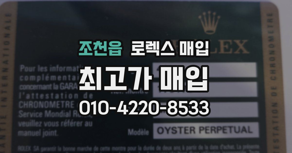 조천읍 로렉스 매입