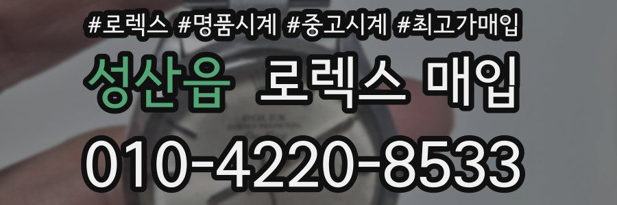 성산읍 로렉스 매입