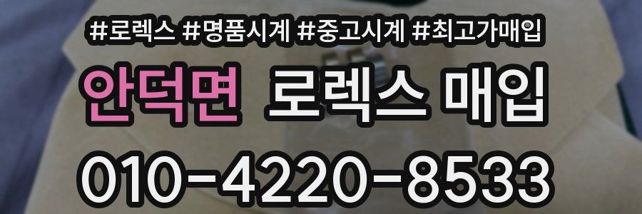 안덕면 로렉스 매입