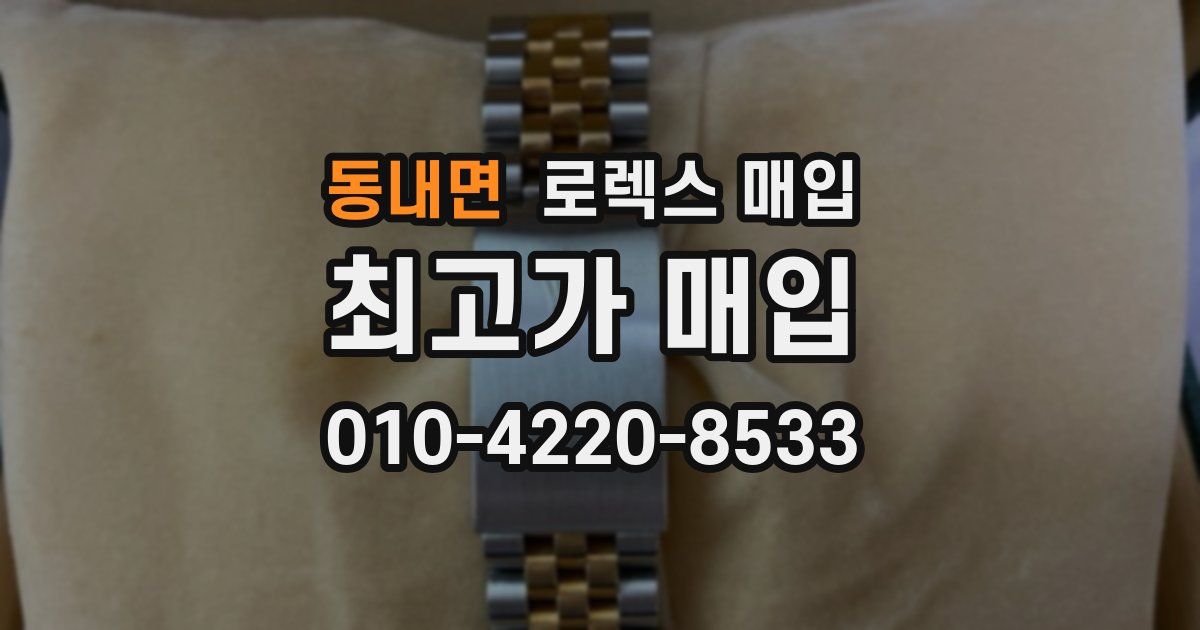 동내면 로렉스 매입