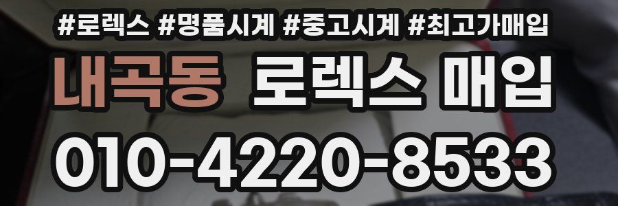 내곡동 로렉스 매입