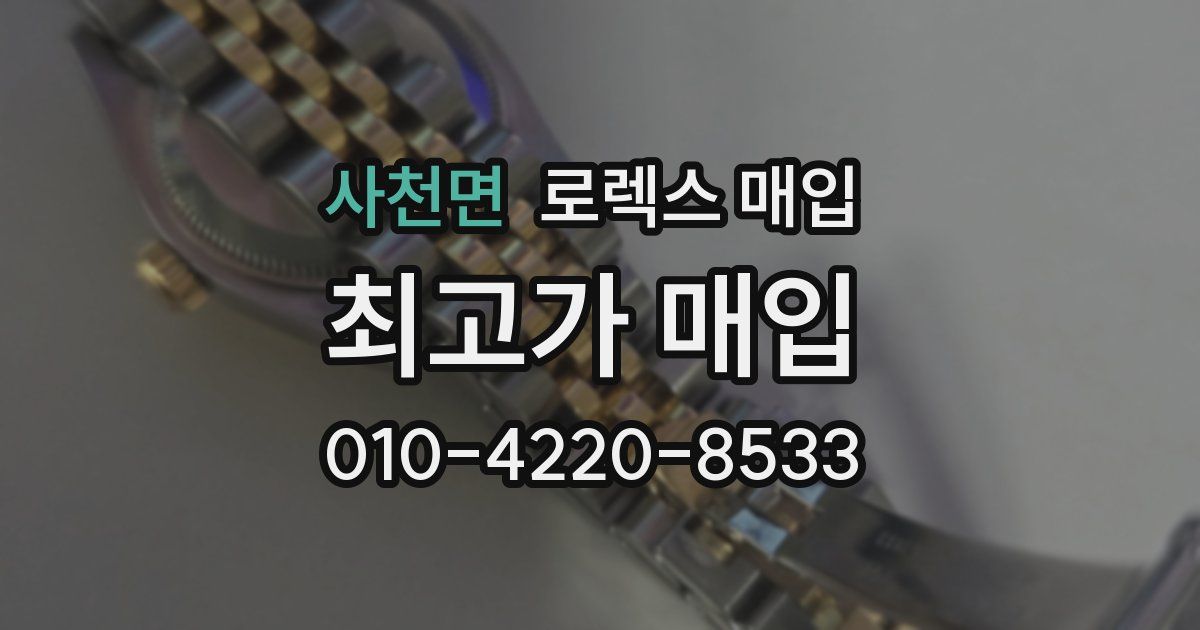 사천면 로렉스 매입