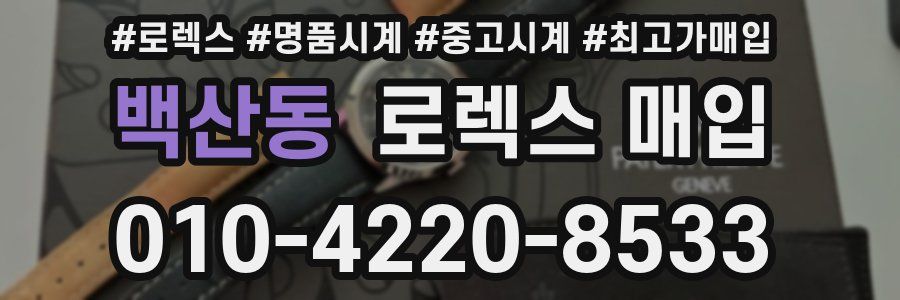 백산동 로렉스 매입