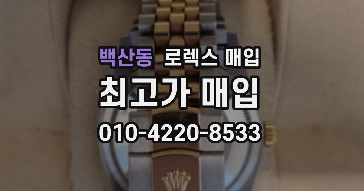 백산동 로렉스 매입