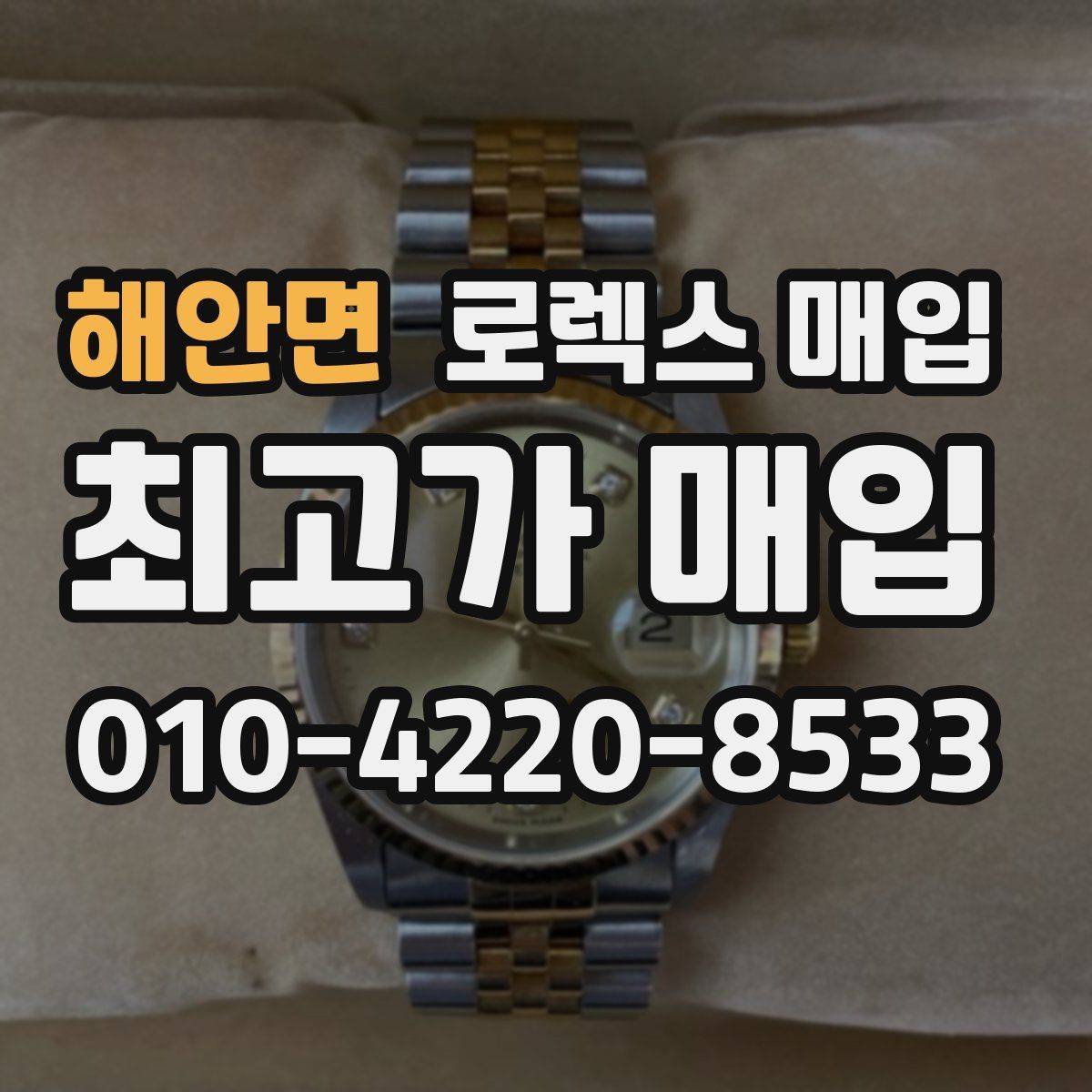 해안면 로렉스 매입