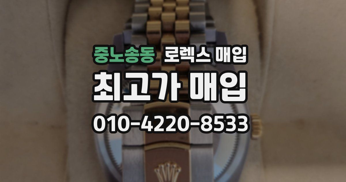 중노송동 로렉스 매입