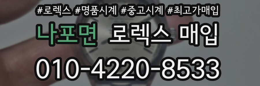 나포면 로렉스 매입