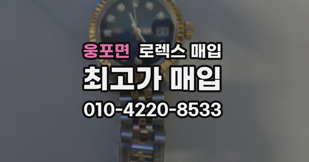 웅포면 로렉스 매입
