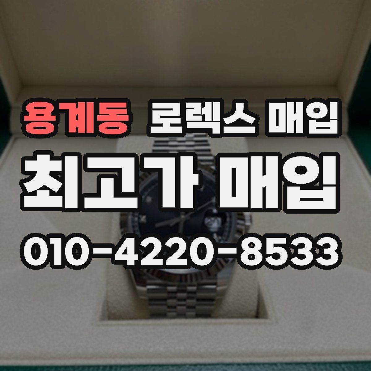 용계동 로렉스 매입 데이데이 금통 감정의 핵심