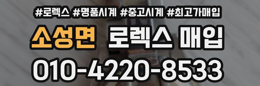 소성면 로렉스 매입