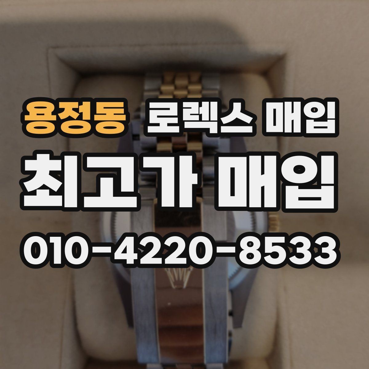 용정동 로렉스 매입 요트마스터 감정 체크 포인트