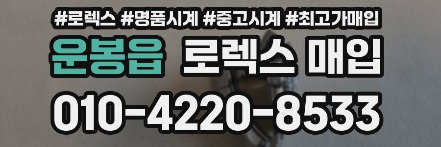 운봉읍 로렉스 매입