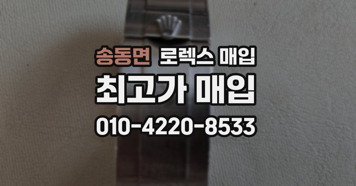 송동면 로렉스 매입