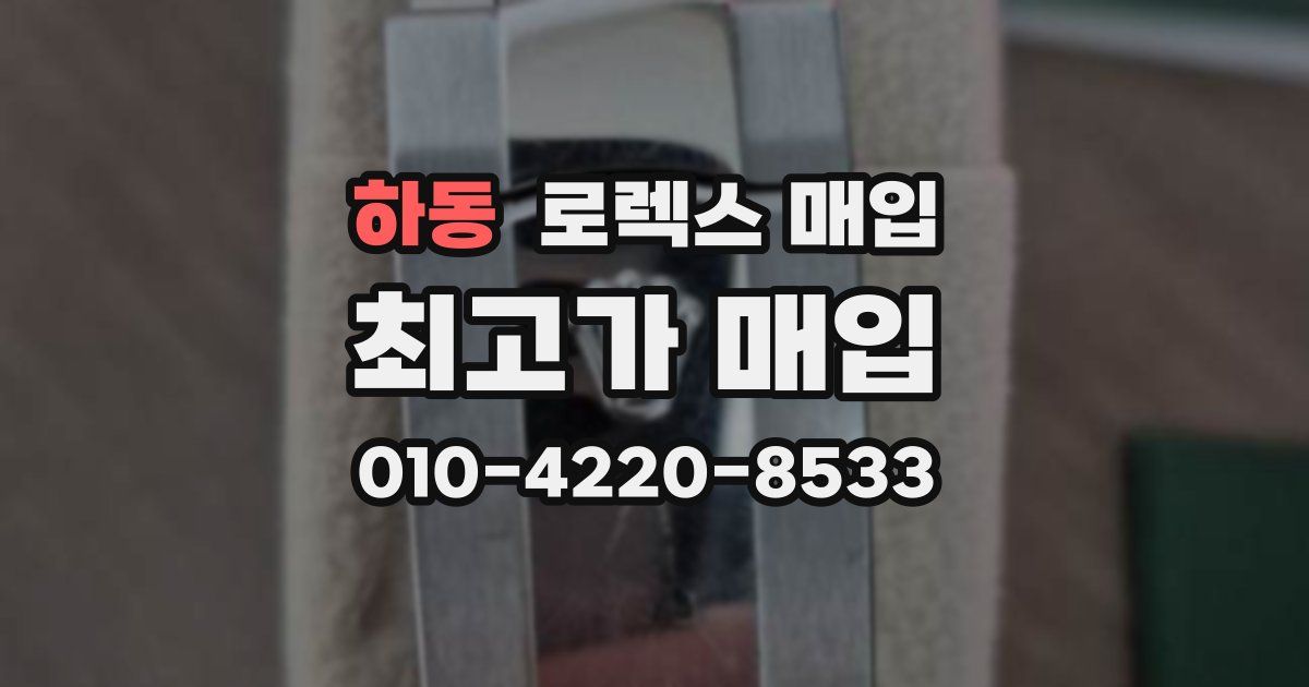 하동 로렉스 매입