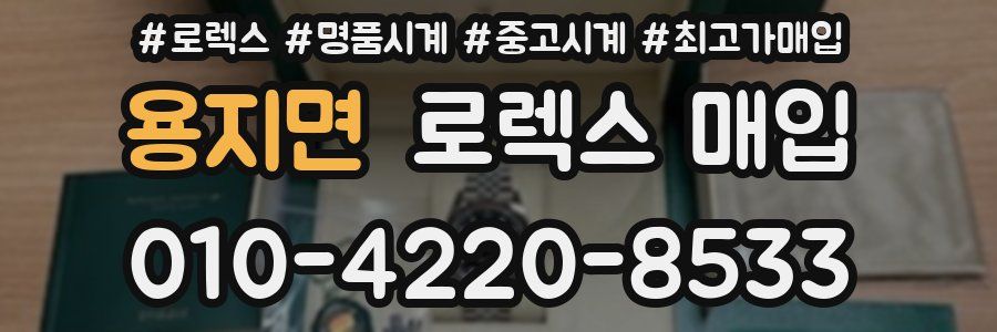 용지면 로렉스 매입