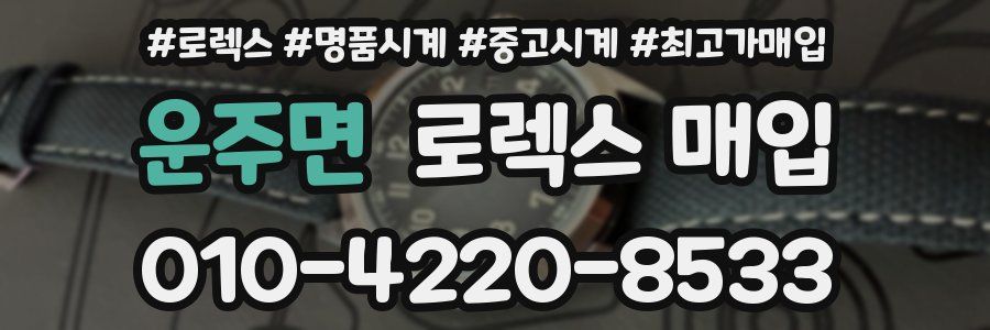 운주면 로렉스 매입