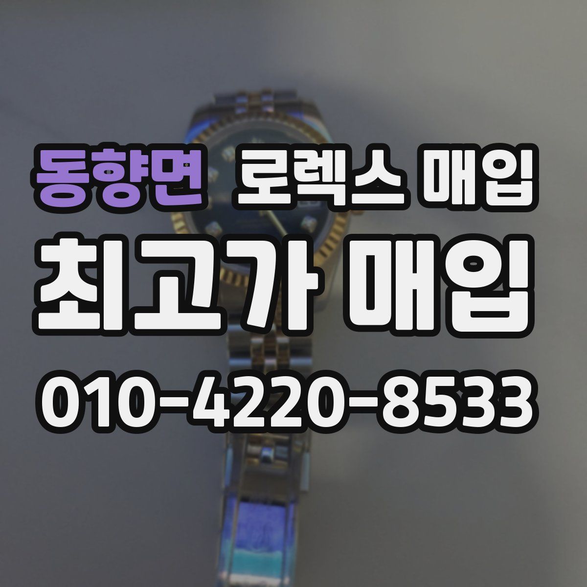 동향면 로렉스 매입