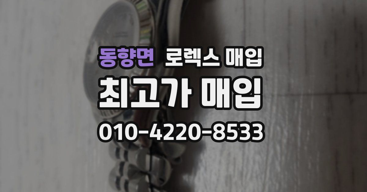 동향면 로렉스 매입