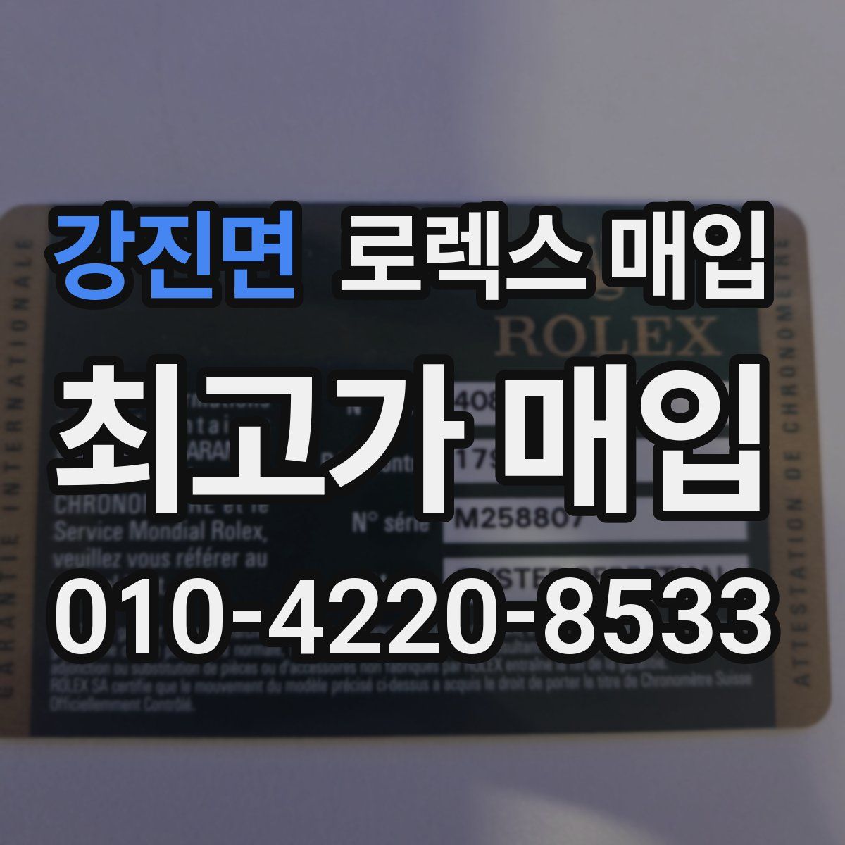 강진면 로렉스 매입