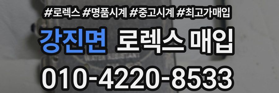 강진면 로렉스 매입