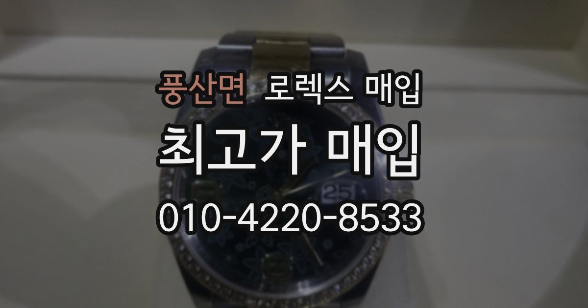 풍산면 로렉스 매입