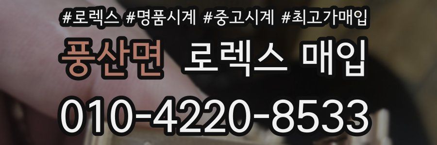 풍산면 로렉스 매입