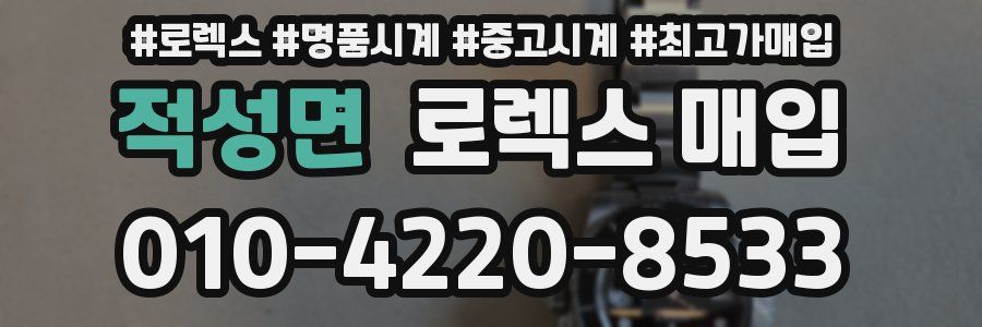 적성면 로렉스 매입