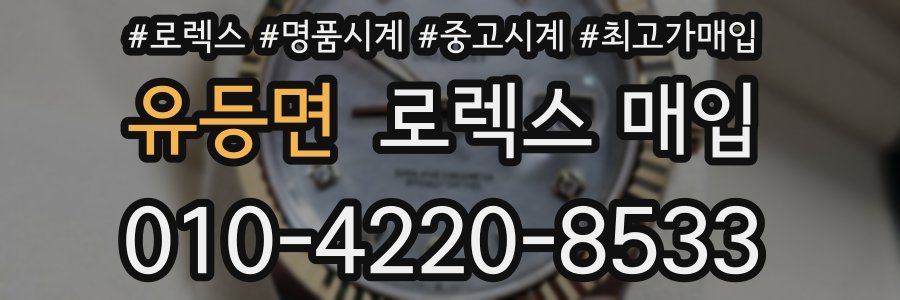 유등면 로렉스 매입