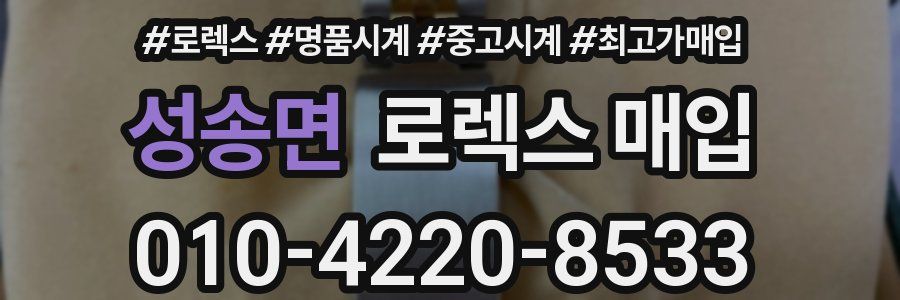 성송면 로렉스 매입