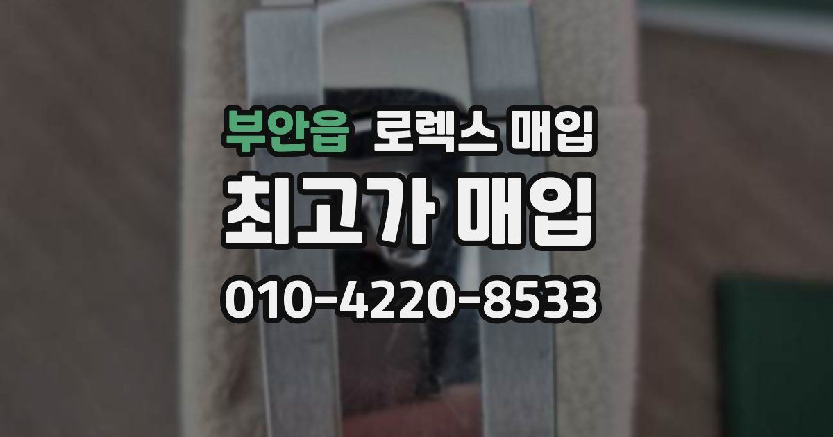 부안읍 로렉스 매입