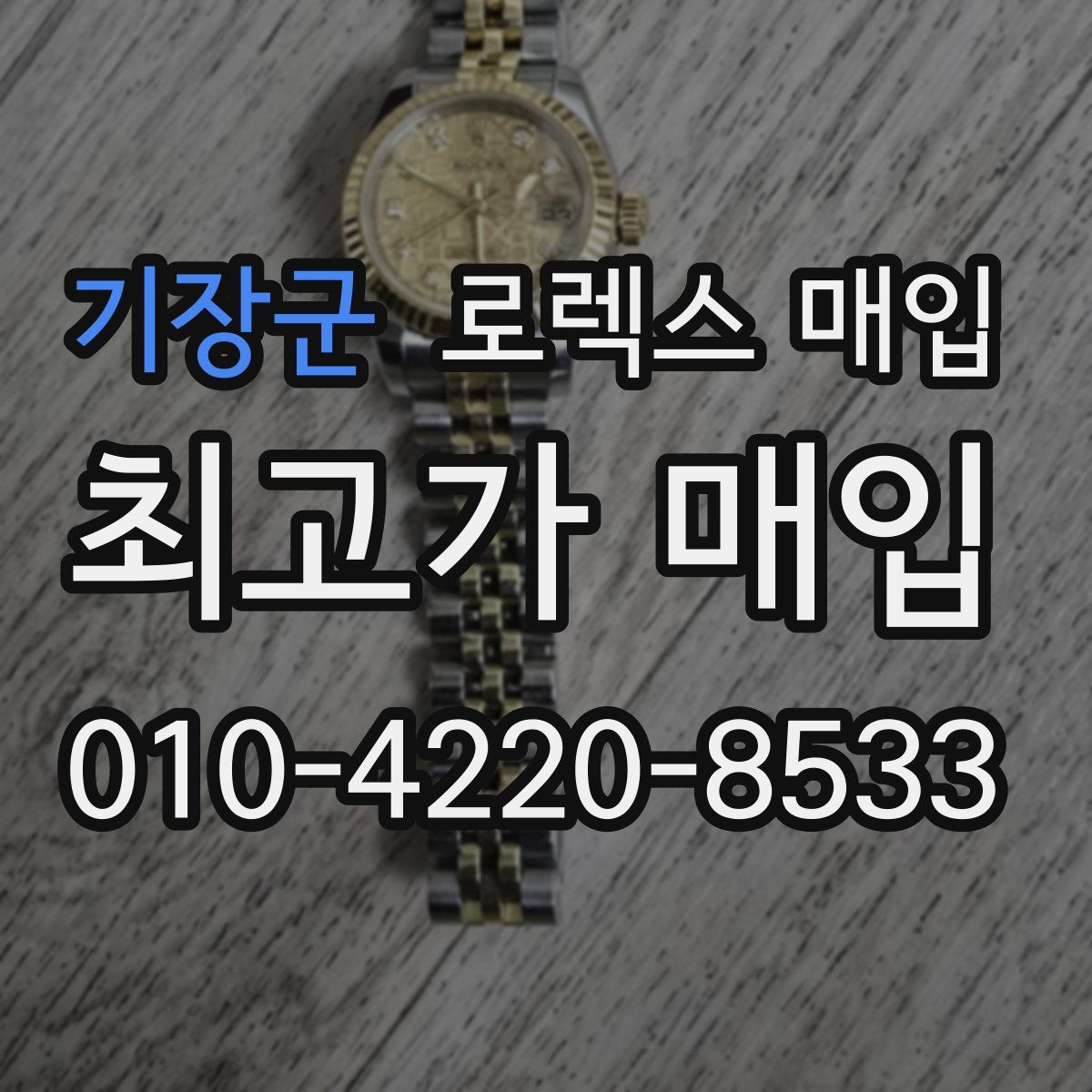 기장군 로렉스 매입