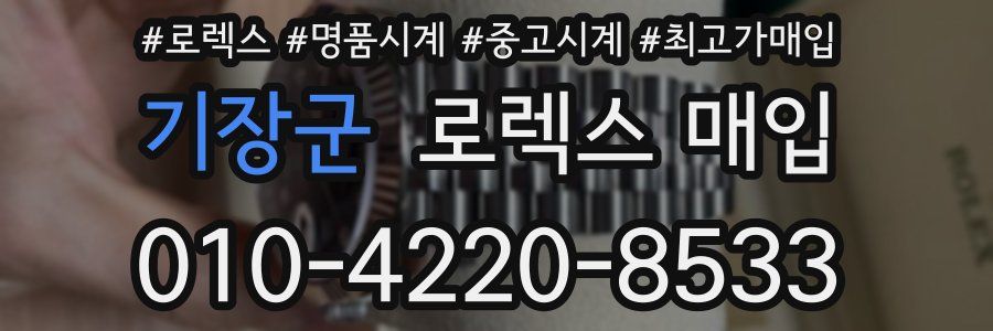 기장군 로렉스 매입
