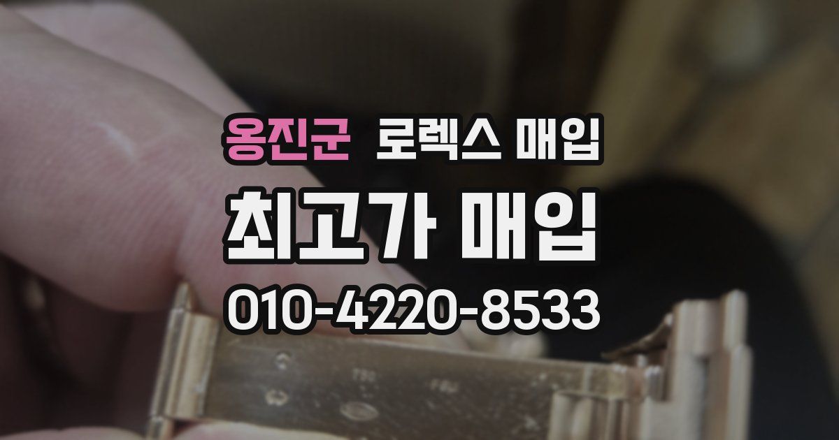 옹진군 로렉스 매입