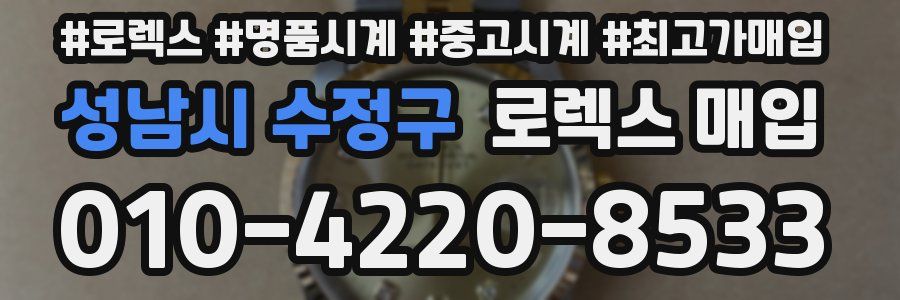 성남시 수정구 로렉스 매입