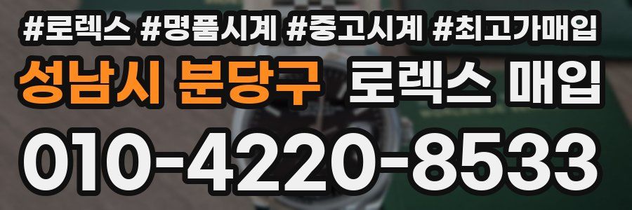 성남시 분당구 로렉스 매입