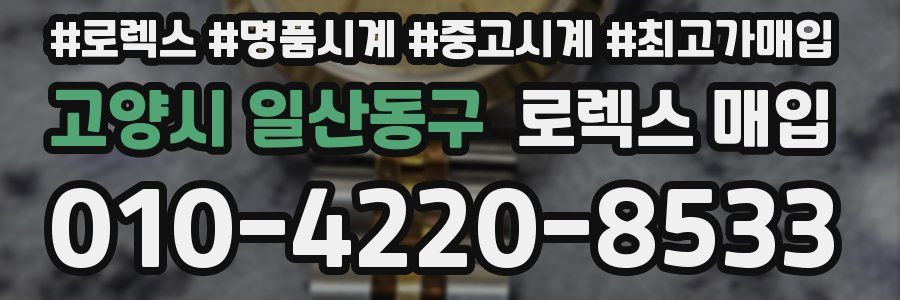 고양시 일산동구 로렉스 매입