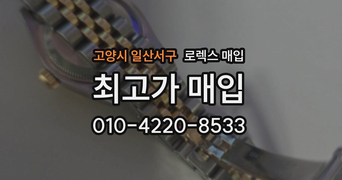 고양시 일산서구 로렉스 매입