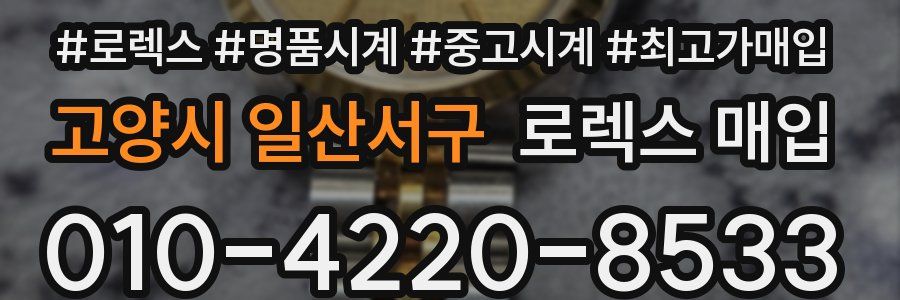 고양시 일산서구 로렉스 매입
