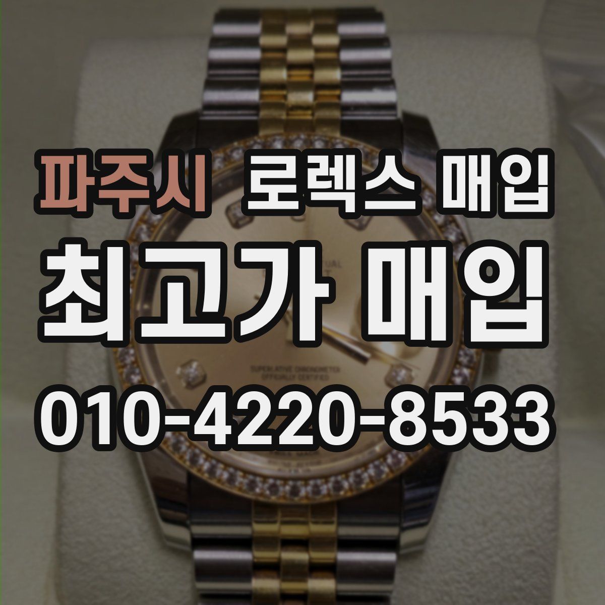 파주시 로렉스 매입