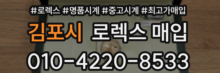 김포시 로렉스 매입
