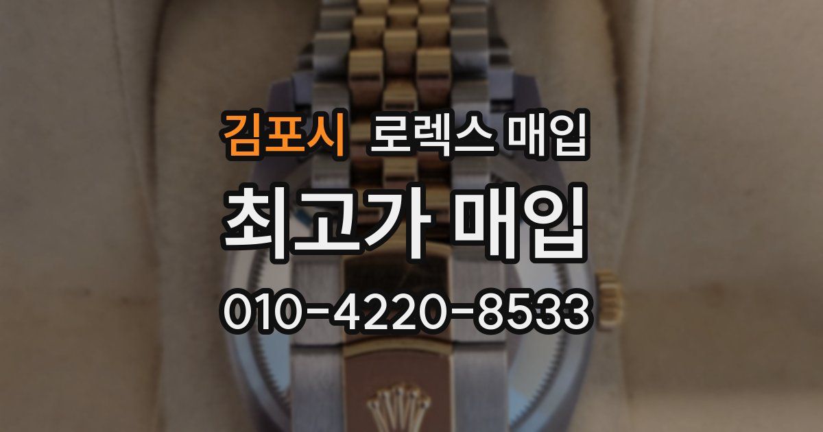 김포시 로렉스 매입